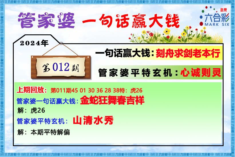 精准资料管家婆一肖一码-精选解析与落实的详细结果