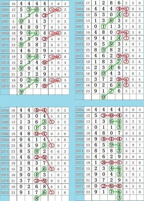 四肖八码期期准免费资料-精选解析与落实的详细结果