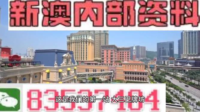 新澳门精准的资料大全-精选解析与落实的详细结果