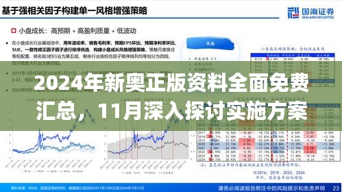 新奥正板全年免费资料-全面探讨落实与释义全方位