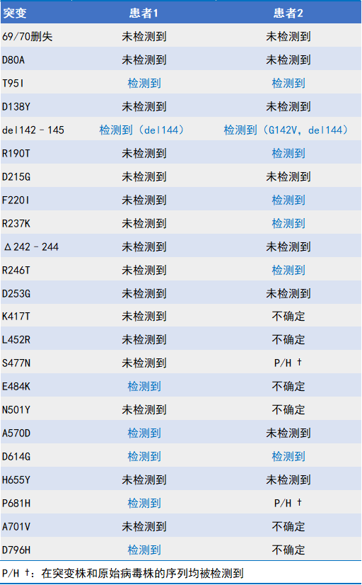 2025全年新正版免费资料大全大全-精选解析与落实的详细结果